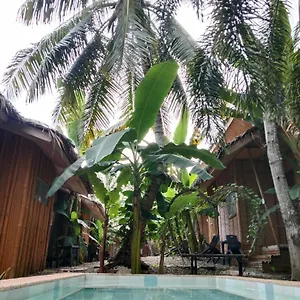 https://ecostay-panglao-resort-hotel.hotelspanglao.com